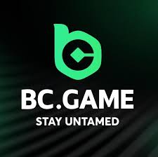 Discover BC Games Your Ultimate Gaming Experience